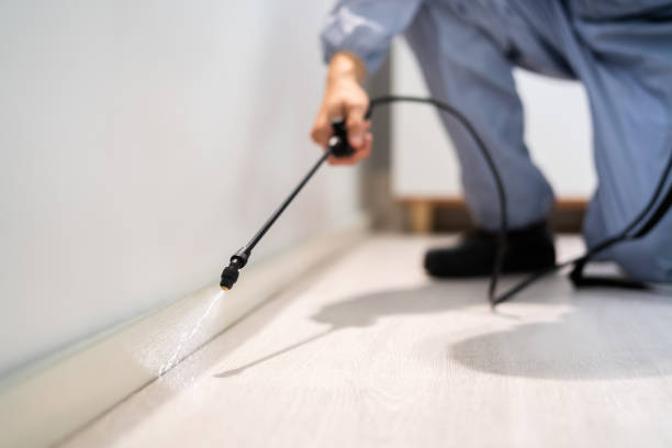 Licensed Pest Control service in Bardmoor, FL - Show Me Pest Control