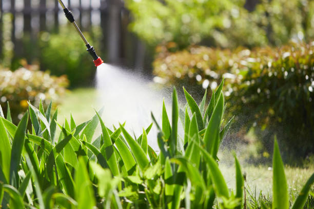 Tamper-Resistant Bait Stations for Rodents in Bardmoor