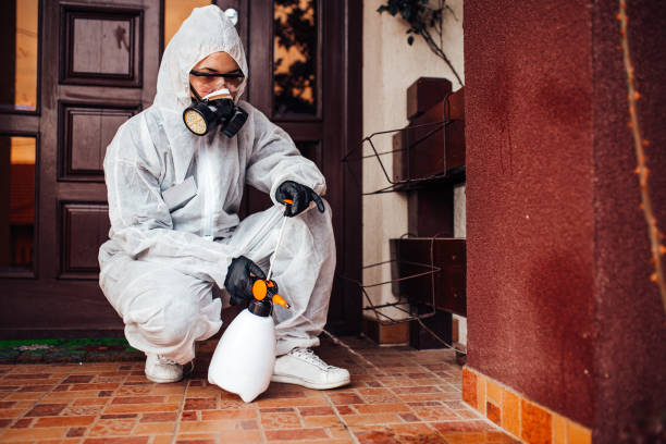 Attic and Crawl Space Rodent Treatment in Bardmoor